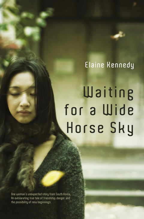 Cover image for book Waiting for a Wide Horse Sky