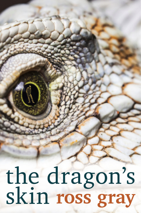 The Dragon's Skin 