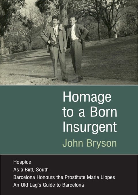 Cover image for book Homage to a Born Insurgent