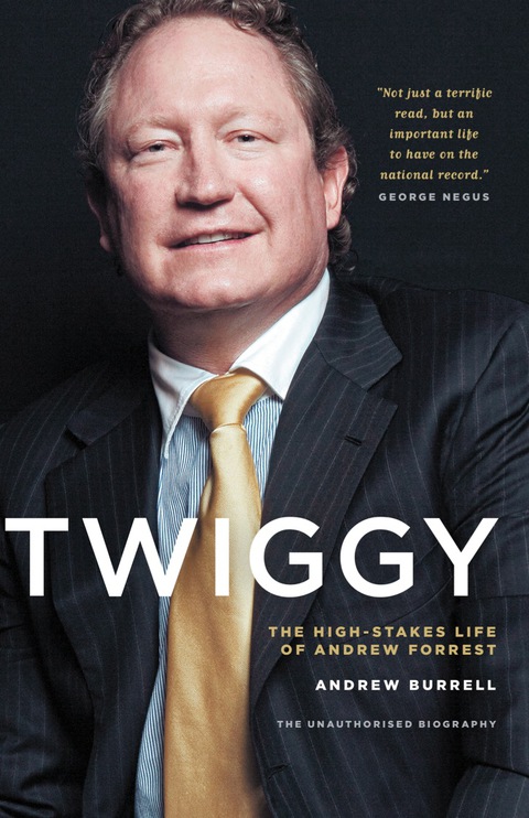 Cover image for book Twiggy