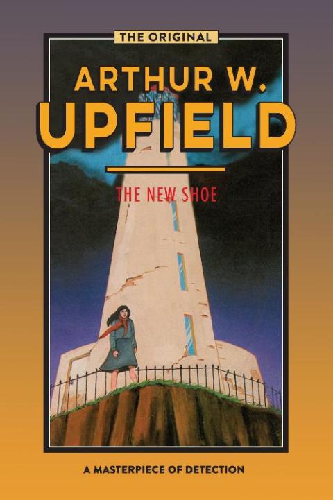 Cover image for book The New Shoe