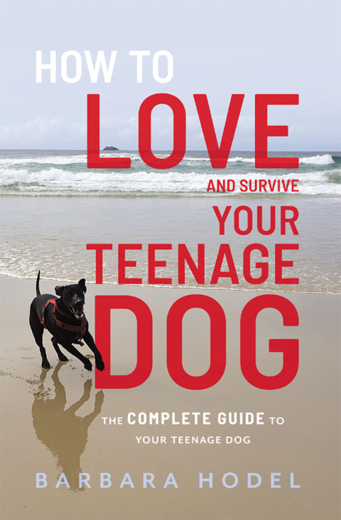 Cover image for book How to love and survive your teenage dog
