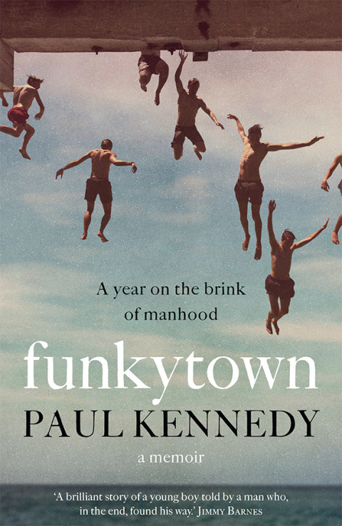 Cover image for book Funkytown