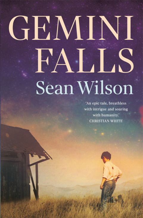 Cover image for book Gemini Falls