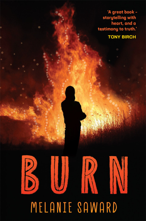 Cover image for book Burn
