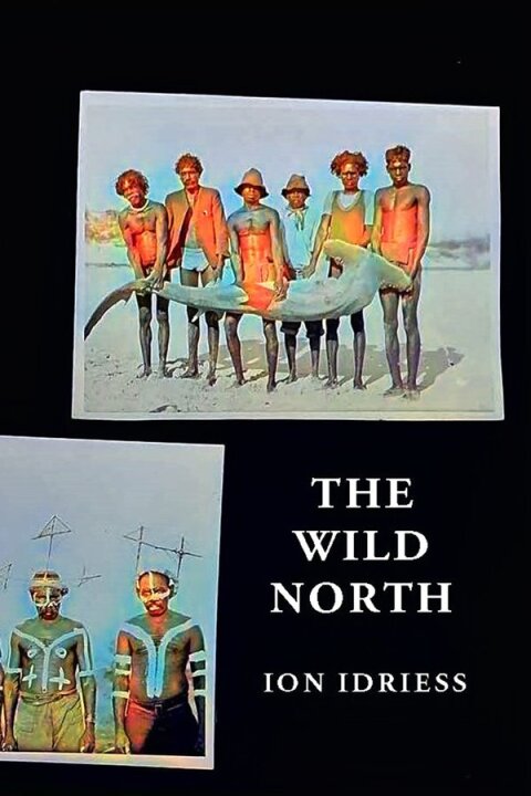 The Wild North 
