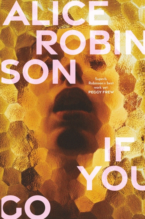 Cover image for book If You Go
