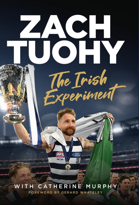 Cover image for book The Irish Experiment