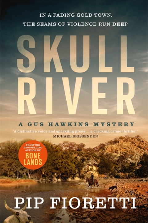 Cover image for book Skull River