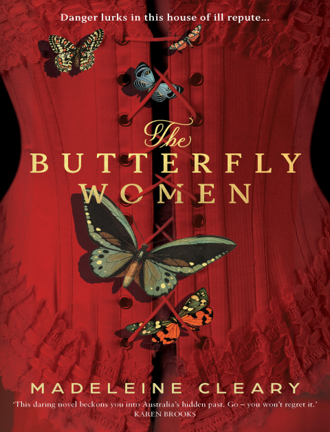 Cover image for book The Butterfly Women