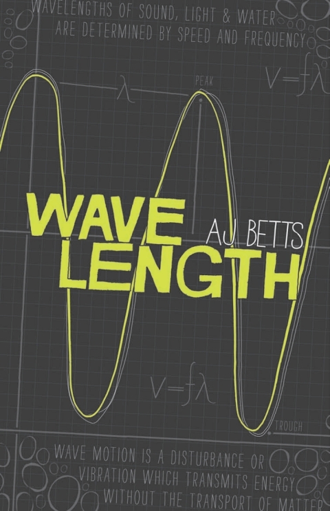 Cover image for book Wavelength