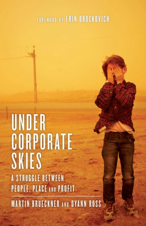Cover image for book Under Corporate Skies