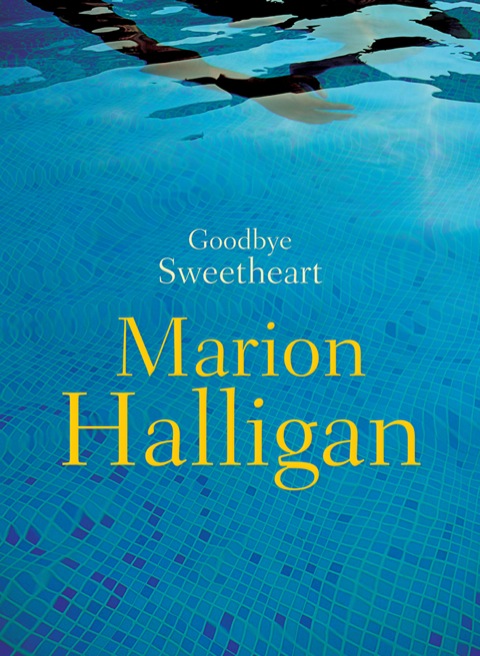 Cover image for book Goodbye Sweetheart