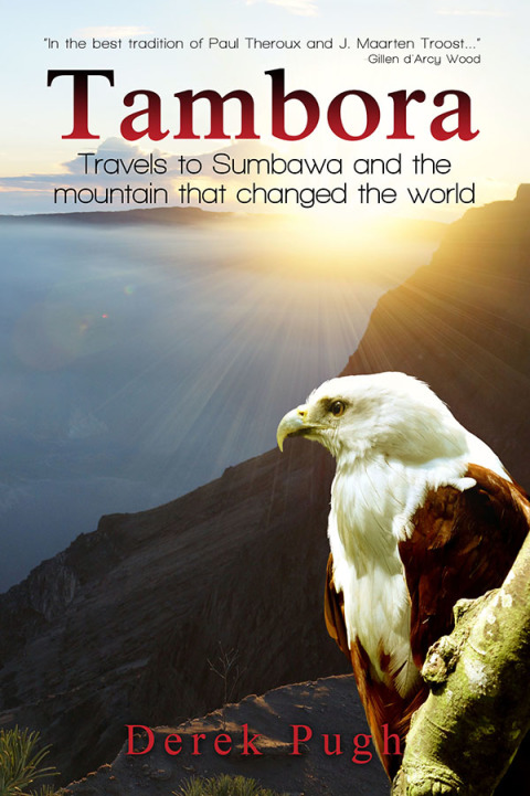 Cover image for book Tambora