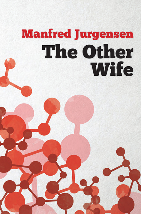 Cover image for book The Other Wife