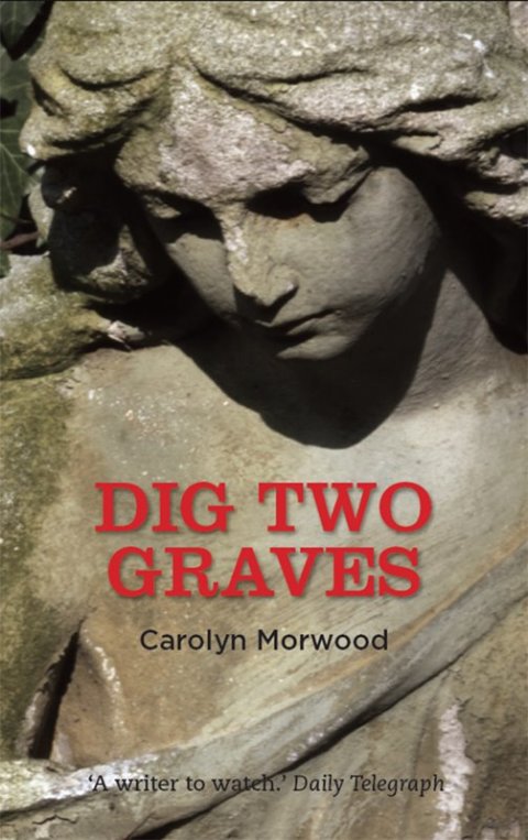 Cover image for book Dig Two Graves