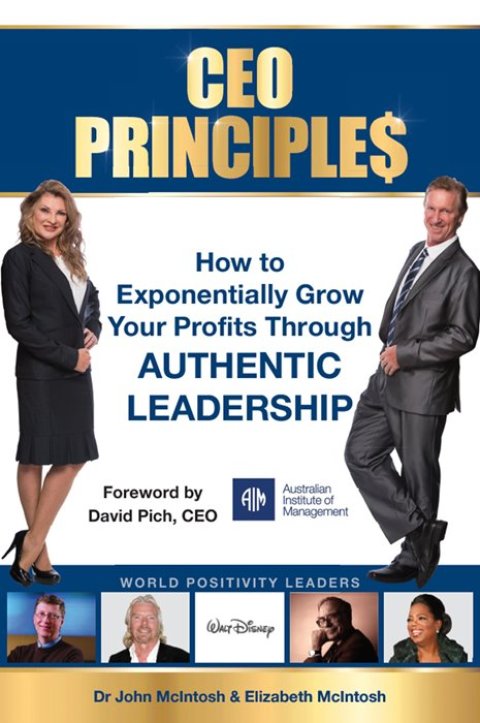 Cover image for book CEO Principles