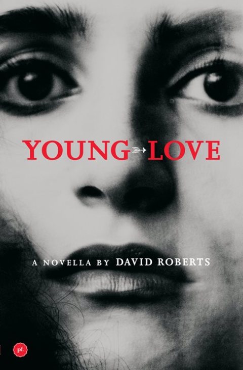 Cover image for book Young Love