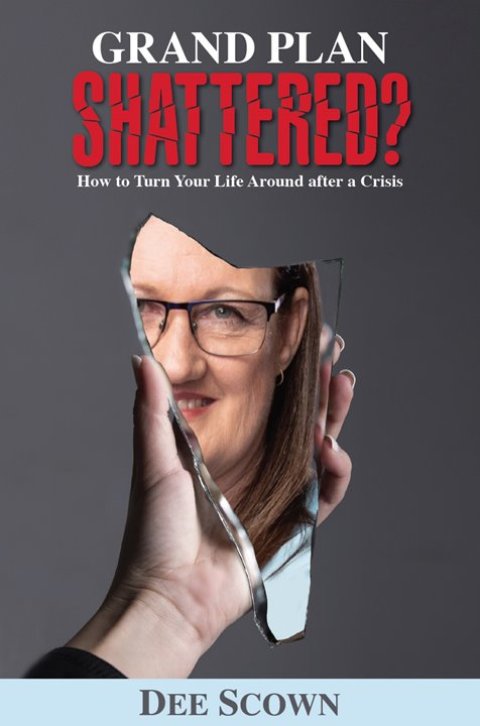 Cover image for book Grand Plan Shattered?