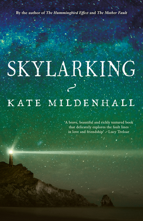 Cover image for book Skylarking
