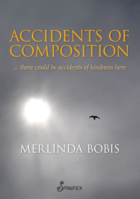 Cover image for book Accidents of Composition