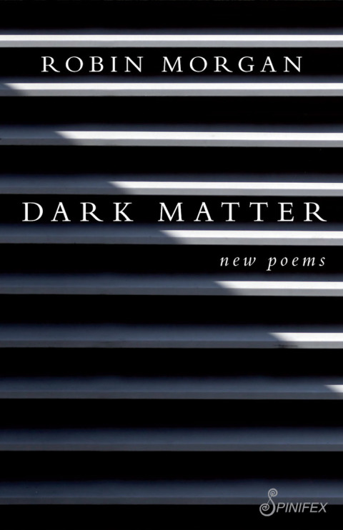 Cover image for book Dark Matter
