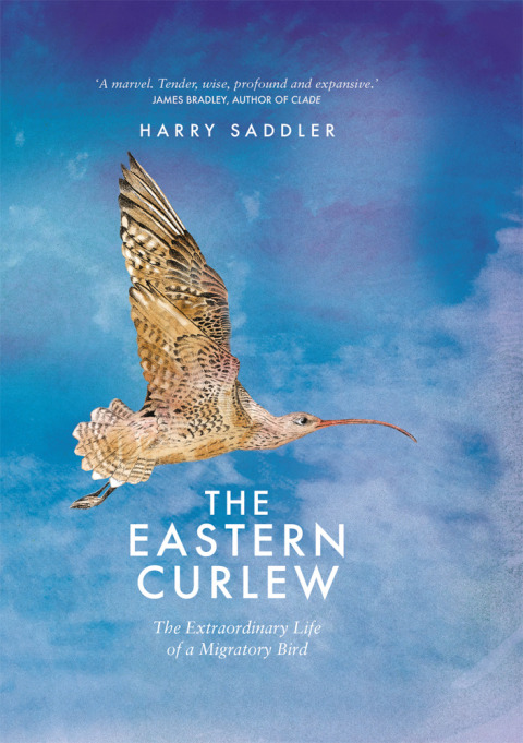Cover image for book Eastern Curlew