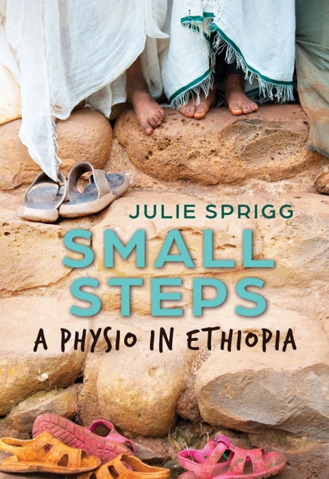 Cover image for book Small Steps