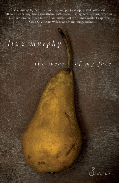 Cover image for book The Wear of My Face
