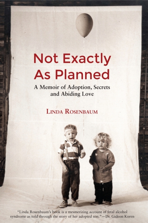 Cover image for book Not Exactly As Planned