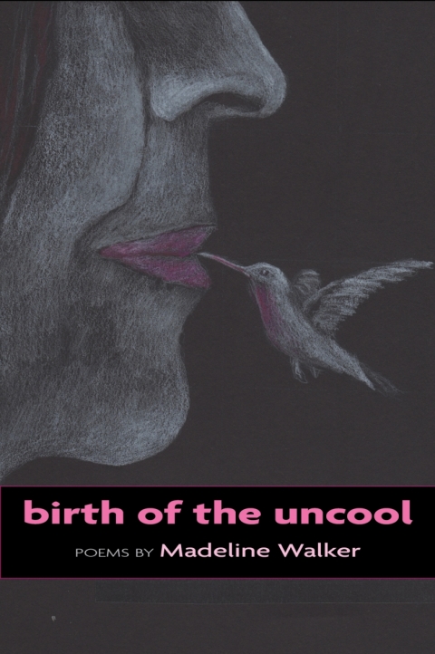 Cover image for book Birth of the Uncool