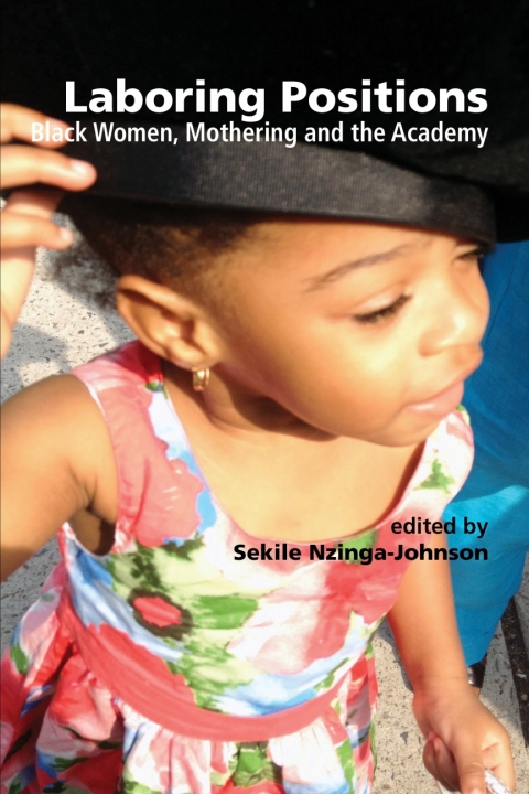 Cover image for book Laboring Positions