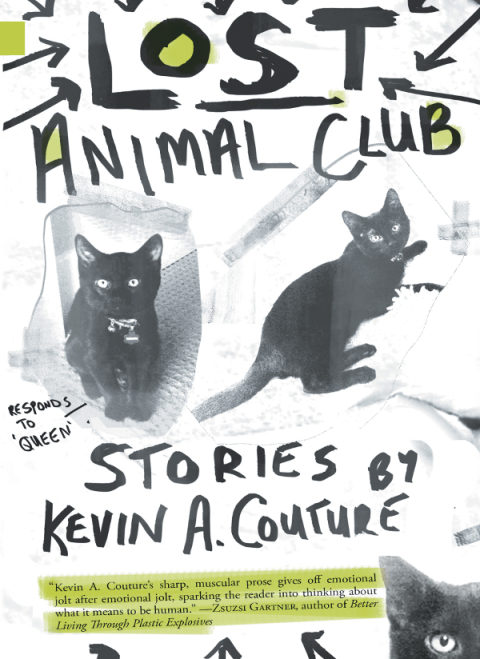 Cover image for book Lost Animal Club