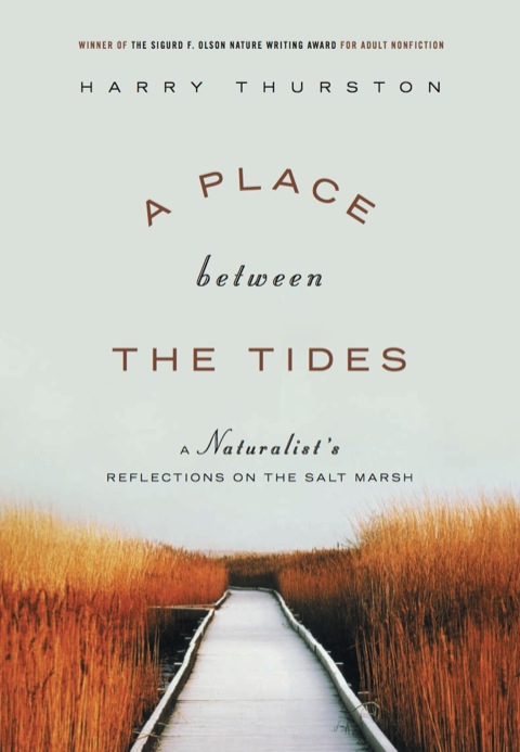 Cover image for book A Place Between the Tides