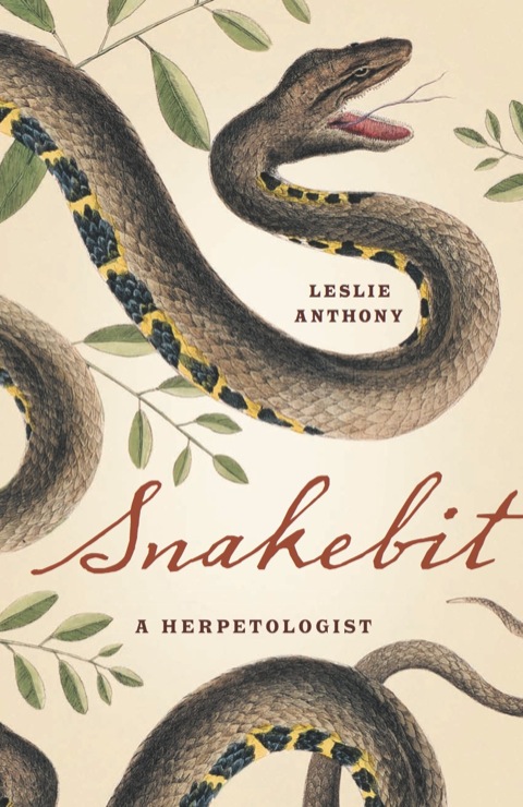 Cover image for book Snakebit