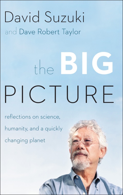 The Big Picture 