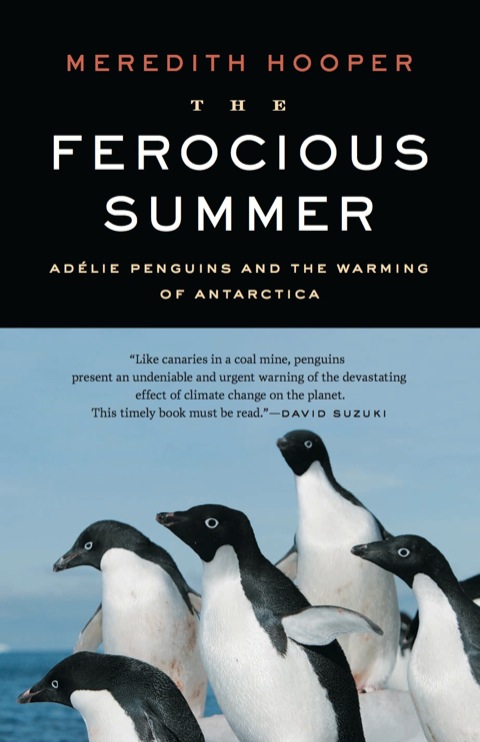 Cover image for book The Ferocious Summer