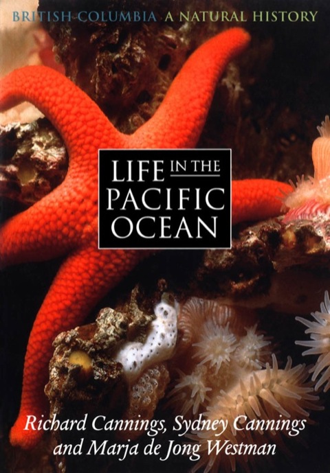 Life in the Pacific Ocean 