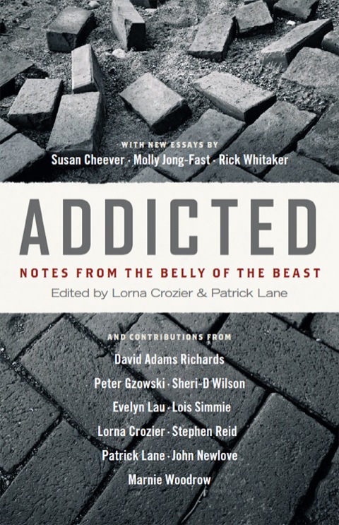 Cover image for book Addicted