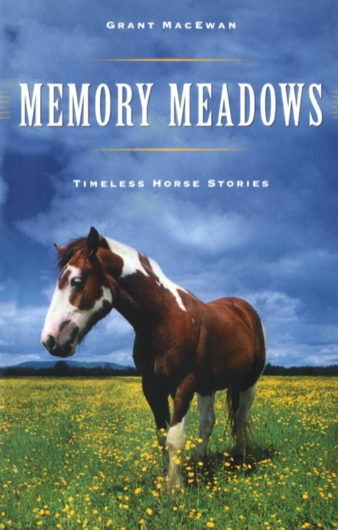 Cover image for book Memory Meadows