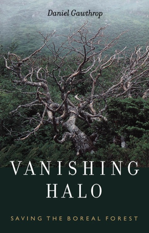 Cover image for book Vanishing Halo