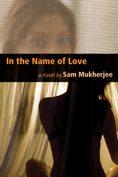 Cover image for book In the Name of Love