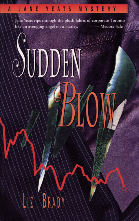 Cover image for book Sudden Blow