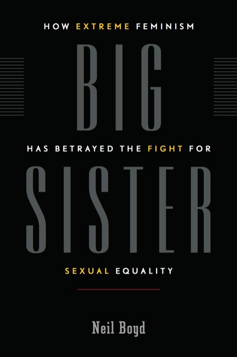 Cover image for book Big Sister