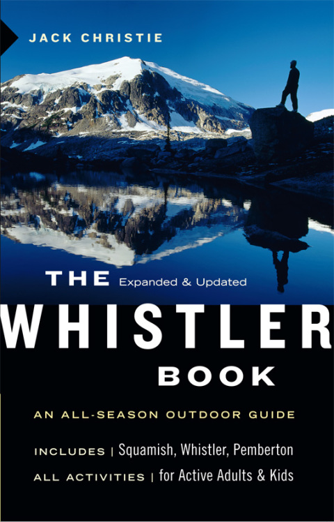 Cover image for book The Whistler Book