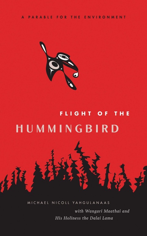 Cover image for book Flight of the Hummingbird