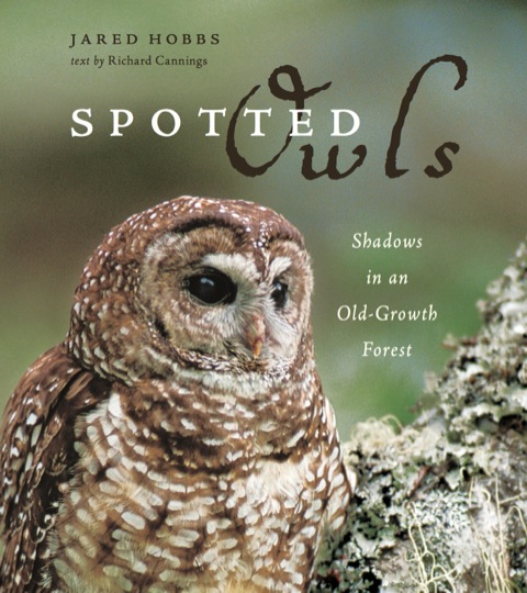 Cover image for book Spotted Owls: Shadows in an Old-Growth Forest