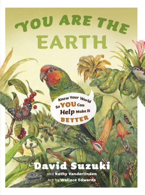 Cover image for book You Are the Earth