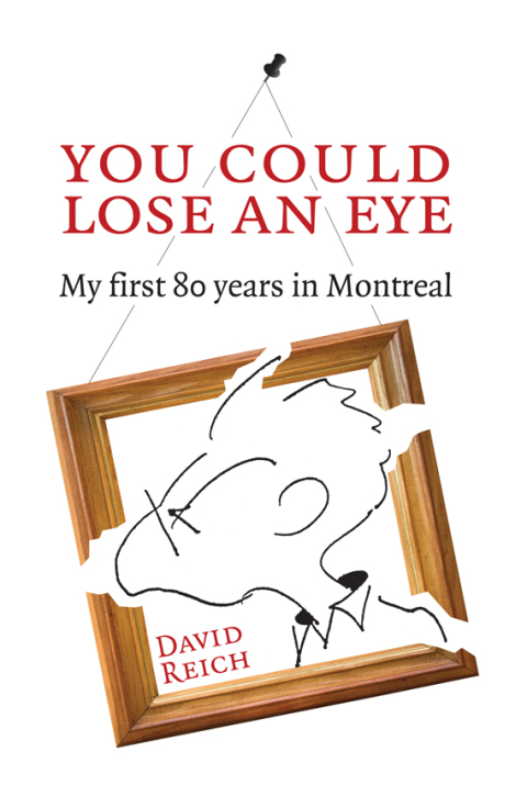 Cover image for book You Could Lose an Eye