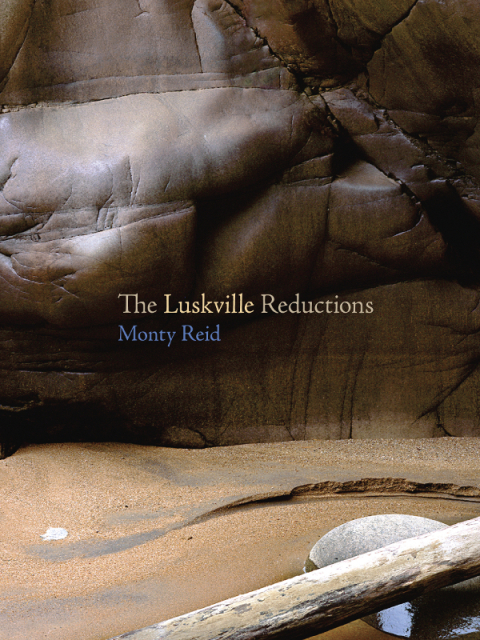 Cover image for book The Luskville Reductions
